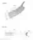 Fig. 04 - Intraocularly-mounted object and intraocularly-mounted object holding member