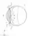 Fig. 22 - METHOD AND APPARATUS FOR PREPARATION OF AN INTRAOCULAR LENS FOR SUBSEQUENT INSERTION INTO THE EYE OF A PATIENT