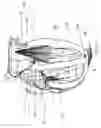 Fig. 09 - Expandable device for capturing regurgitant jet, volume, and force to effect ventricular function and remodeling