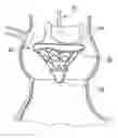 Fig. 01 - Prosthetic heart valve deployment systems