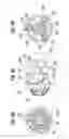 Fig. 09 - Prosthetic heart valve deployment systems