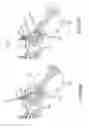 Fig. 58 - Methods of fusing a sacroiliac joint with an additively manufactured sacroiliac joint implant