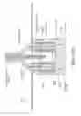 Fig. 43 - Intragastric device