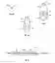 Fig. 06 - Fluid-circulating catheters useable for endovascular heat exchange