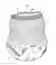 Fig. 01 - Pants-type absorbent article