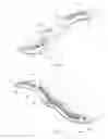 Fig. 05 - Soft Tissue Massage Tools