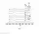 Fig. 05 - Multi-functional micro and nanoparticles for use in root canal therapies
