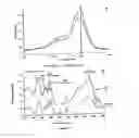 Fig. 10 - Multi-functional micro and nanoparticles for use in root canal therapies