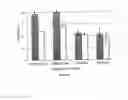 Fig. 12 - Multi-functional micro and nanoparticles for use in root canal therapies