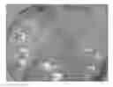 Fig. 01 - UV-BLOCKING COSMETIC COMPOSITION