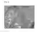 Fig. 02 - UV-BLOCKING COSMETIC COMPOSITION