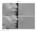 Fig. 03 - SKIN CARE COMPOSITIONS