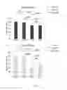 Fig. 04 - METHODS OF TREATING HYPERPIGMENTATION DISORDERS