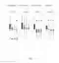 Fig. 05 - METHODS OF TREATING HYPERPIGMENTATION DISORDERS