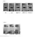Fig. 02 - Liquid oil dispersion cosmetic composition