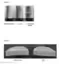 Fig. 04 - Liquid oil dispersion cosmetic composition