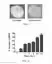 Fig. 06 - Milk-derived microvesicle compositions and related methods