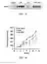 Fig. 25 - Milk-derived microvesicle compositions and related methods