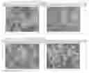 Fig. 01 - Bacteria-Containing Oral Rapidly Disintegrating Tablet