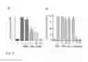 Fig. 16 - METHODS FOR DOWNREGULATING APOBEC3B