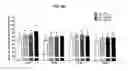 Fig. 08 - PHARMACEUTICAL COMPOSITIONS FOR COMBINATION THERAPY