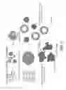 Fig. 04 - COMPOSITIONS AND METHODS FOR TREATING INFLAMMATORY DISEASE OR CONDITIONS