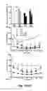 Fig. 06 - METHODS AND COMPOSITIONS FOR TREATING NEPHROPATHY