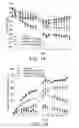 Fig. 02 - Compounds for the treatment of obesity and methods of use thereof