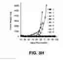 Fig. 12 - Immunotherapeutic dosing regimens comprising pomalidomide and an anti-CS1 antibody for treating cancer