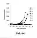 Fig. 22 - Immunotherapeutic dosing regimens comprising pomalidomide and an anti-CS1 antibody for treating cancer