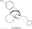 Fig. 04 - Method of treating dyskinesia
