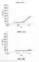 Fig. 04 - Methods for treating cancer using dihydropyrazino-pyrazine compound combination therapy