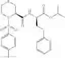 Fig. 22 - Thiazideamide derivative and use thereof