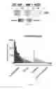 Fig. 09 - Compositions and methods for treating cancer