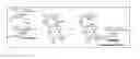 Fig. 01 - Pharmaceutical compositions and methods