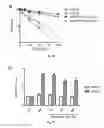 Fig. 10 - Methods of diagnosing and treating cancer