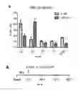 Fig. 18 - Methods of diagnosing and treating cancer