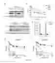Fig. 23 - Methods of diagnosing and treating cancer