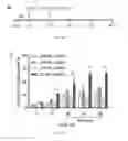 Fig. 27 - Methods of diagnosing and treating cancer