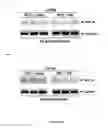 Fig. 05 - COMPOSITIONS AND METHODS FOR THE TREATMENT OF VIRAL INFECTION