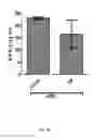 Fig. 11 - COMPOSITIONS AND METHODS FOR THE TREATMENT OF VIRAL INFECTION