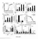 Fig. 02 - Gut barrier dysfunction treatment and prevention