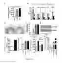 Fig. 07 - Gut barrier dysfunction treatment and prevention