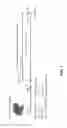 Fig. 02 - Peptide for preventing or treating inflammatory diseases and use thereof