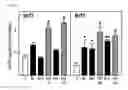 Fig. 03 - Modulation of epigenetic stress response