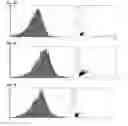 Fig. 06 - Composition containing palmultang extract for promoting proliferation of stem cells derived from bone marrow