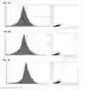 Fig. 09 - Composition containing palmultang extract for promoting proliferation of stem cells derived from bone marrow
