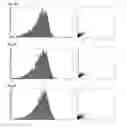 Fig. 12 - Composition containing palmultang extract for promoting proliferation of stem cells derived from bone marrow