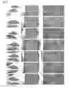 Fig. 17 - Composition containing palmultang extract for promoting proliferation of stem cells derived from bone marrow