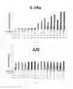 Fig. 06 - COMPOSITION AND METHOD FOR INDUCING ANTI-INFLAMMATORY RESPONSE